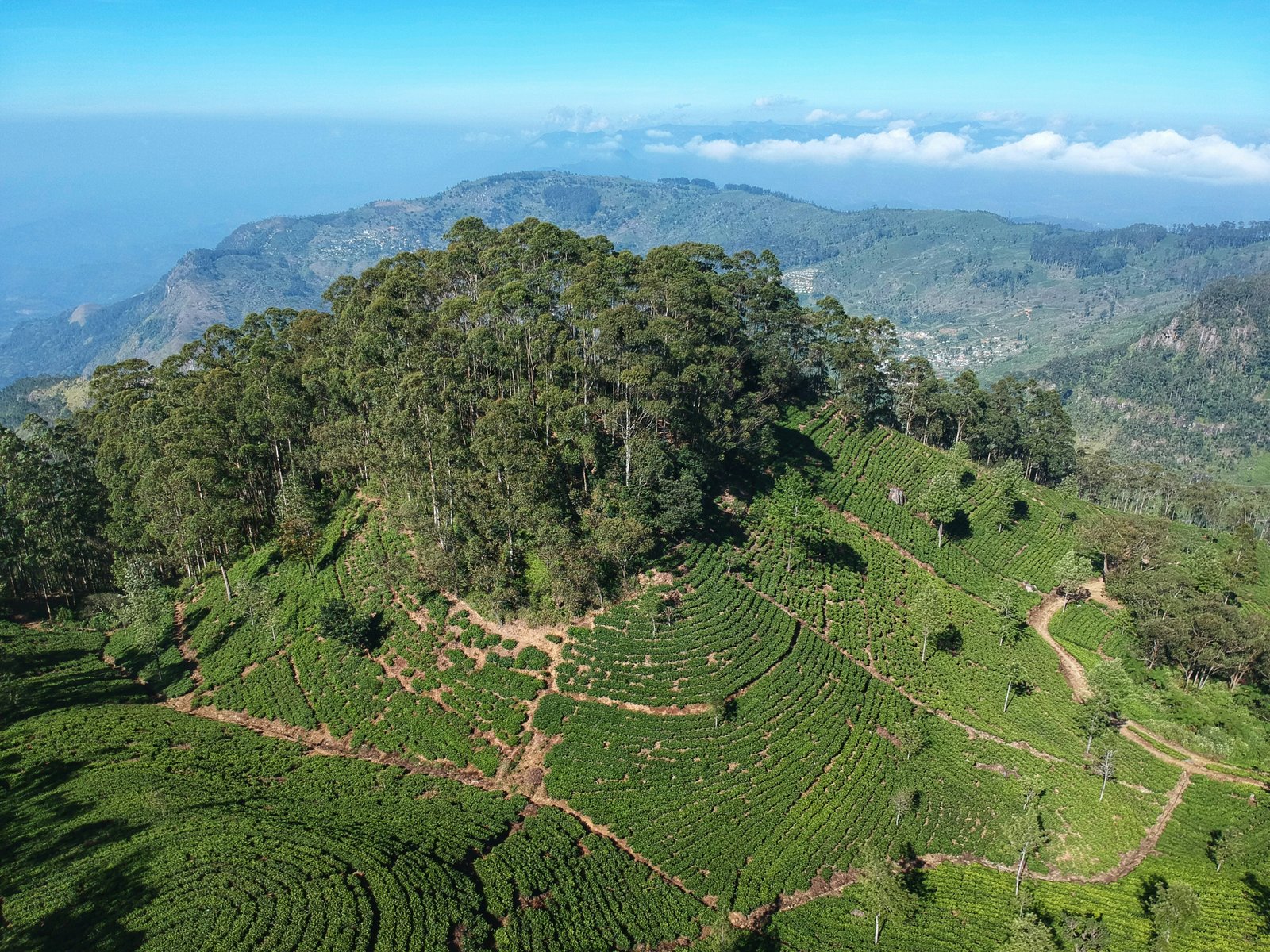 Nuwara Eliya